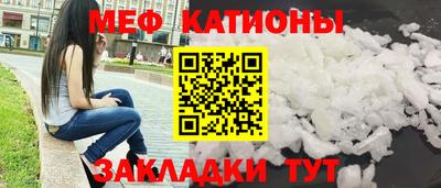 тгк Бийск