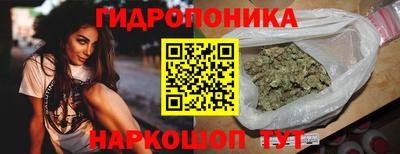 тгк Бийск