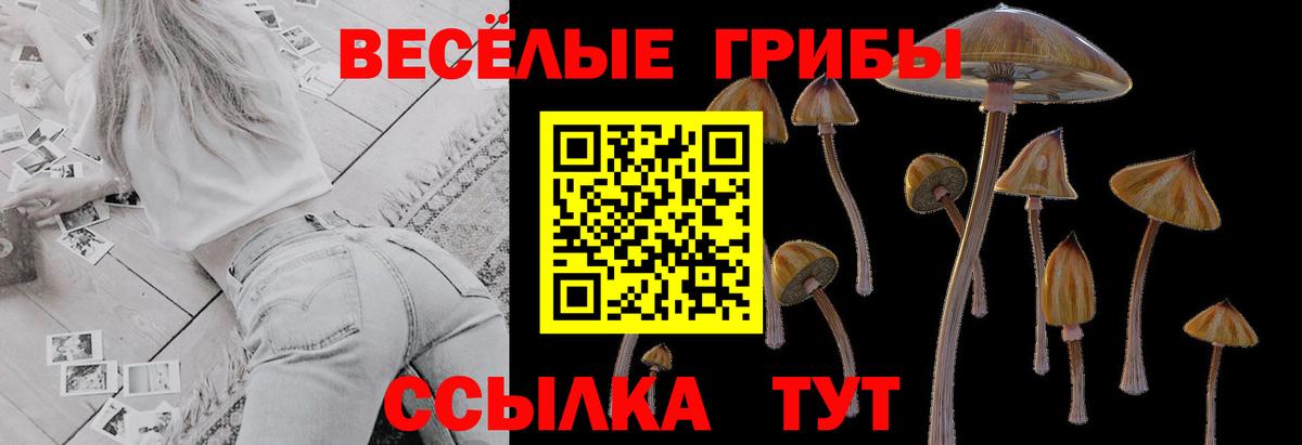 Псилоцибиновые грибы мухоморы  Галлюциногенные грибы прущие грибы  Беслан  Вход с VPN 